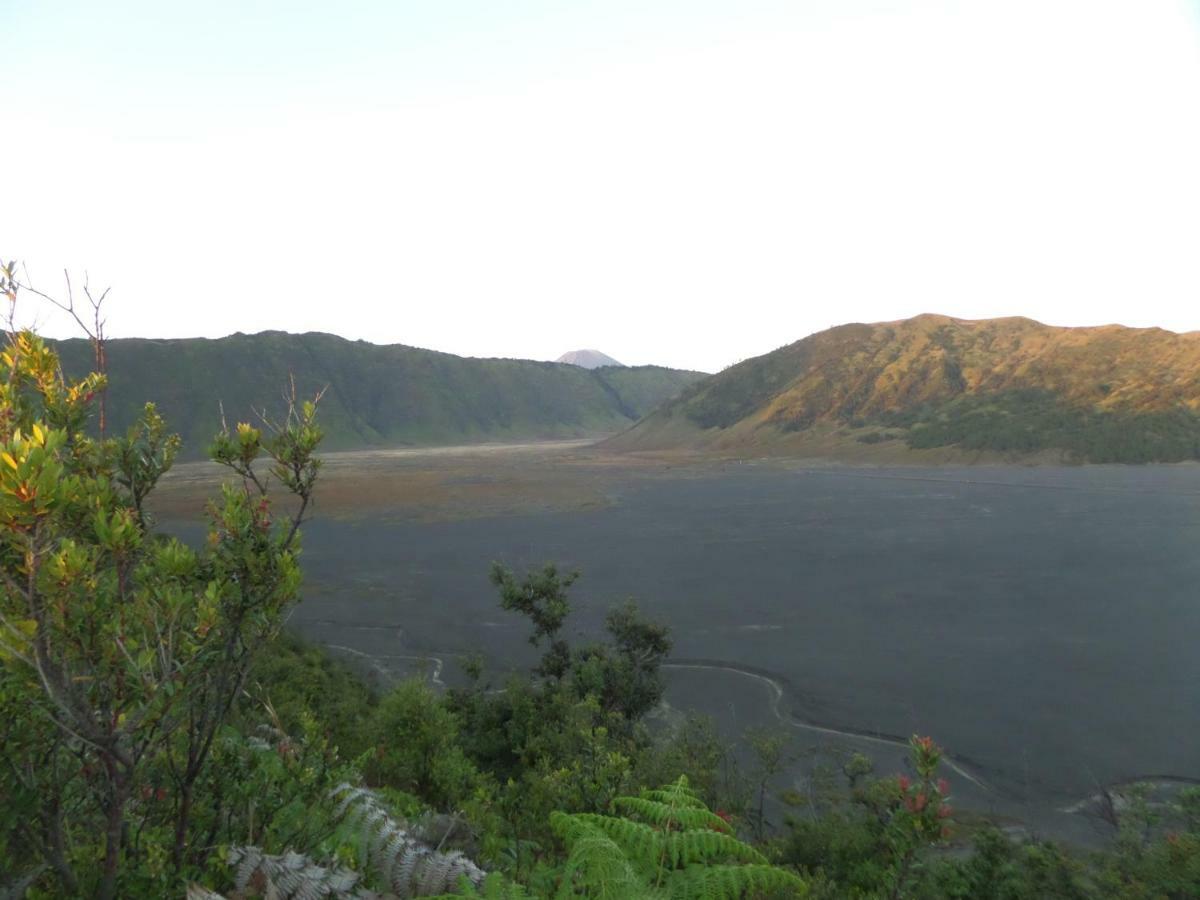 Bromo Permai 1 Hotel Exterior foto